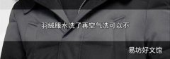 羽绒服水洗了再空气洗可以不