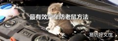 最有效汽车防老鼠方法