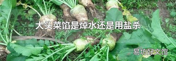 大头菜馅是焯水还是用盐杀