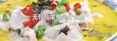 无骨酸菜鱼是什么鱼