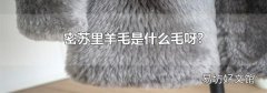 密苏里羊毛是什么毛呀?
