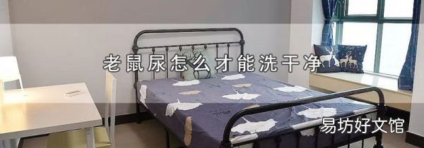 老鼠尿怎么才能洗干净