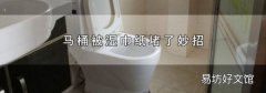 马桶被湿巾纸堵了妙招