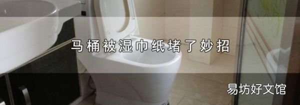 马桶被湿巾纸堵了妙招
