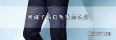 黑裤子粘白毛毛怎么办