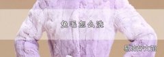 兔毛怎么洗