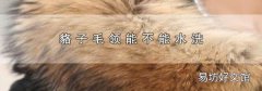 貉子毛领能不能水洗