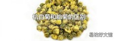 杭白菊和胎菊的区别