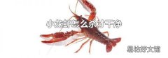 小龙虾怎么杀才干净