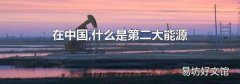 在中国,什么是第二大能源