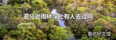 亚马逊雨林深处有人去过吗