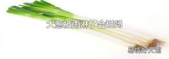 大葱被雨淋了会烂吗