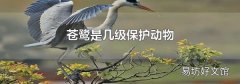 苍鹭是几级保护动物