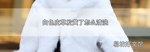 白色皮草发黄了怎么清洗