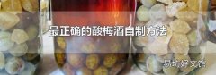 最正确的酸梅酒自制方法