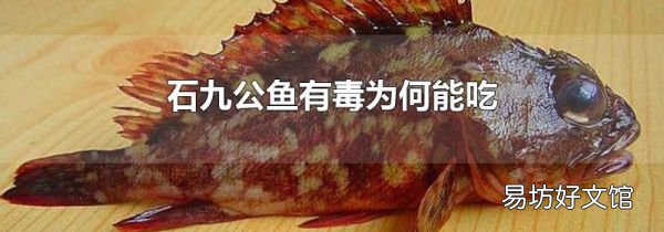 石九公鱼有毒为何能吃