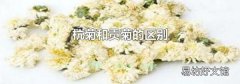 杭菊和贡菊的区别