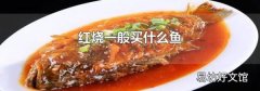 红烧一般买什么鱼