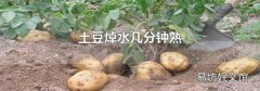 土豆焯水几分钟熟