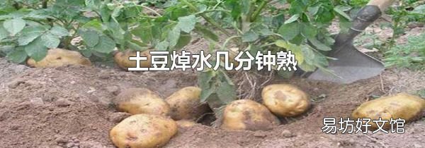 土豆焯水幾分鐘熟