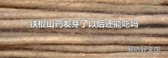 铁棍山药发芽了以后还能吃吗