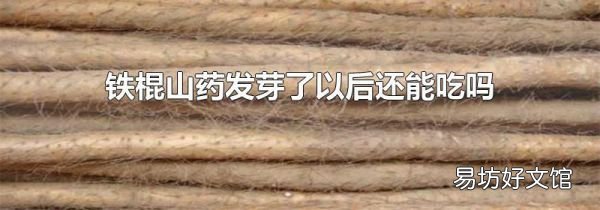 铁棍山药发芽了以后还能吃吗