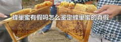 蜂巢蜜有假吗怎么鉴定蜂巢蜜的真假