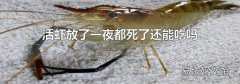 活虾放了一夜都死了还能吃吗