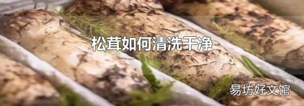 松茸如何清洗干净