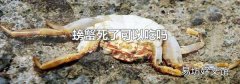 螃蟹死了可以吃吗