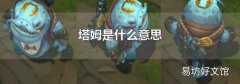 塔姆是什么意思