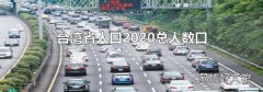 台湾省人口2020总人数口