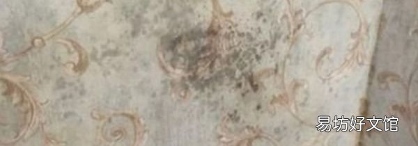 回南天墙面的水是从哪里来的