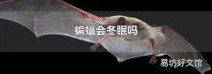 蝙蝠会冬眠吗