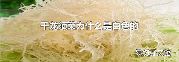 干龍須菜為什么是白色的