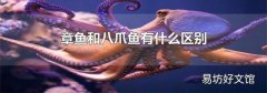 章魚和八爪魚有什么區別