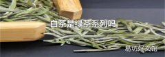白茶是绿茶系列吗