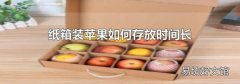 纸箱装苹果如何存放时间长