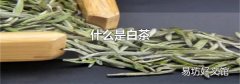 什么是白茶