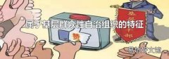 属于基层群众性自治组织的特征