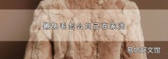 獺兔毛怎么自己在家洗