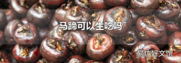 馬蹄可以生吃嗎