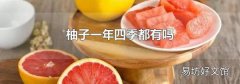 柚子一年四季都有吗
