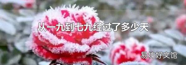 從一九到七九經過了多少天
