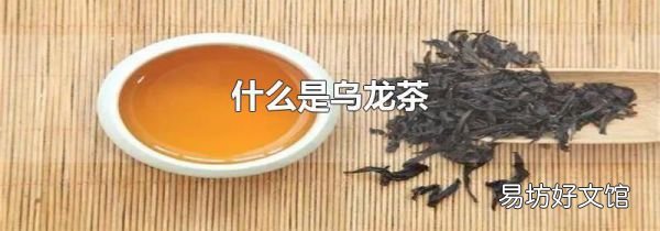 什么是烏龍茶