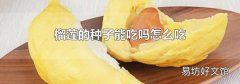榴莲的种子能吃吗怎么吃