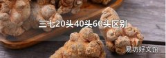 三七20头40头60头区别