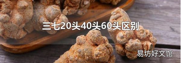 三七20头40头60头区别