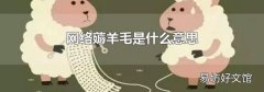 网络薅羊毛是什么意思