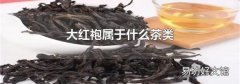 大红袍属于什么茶类
